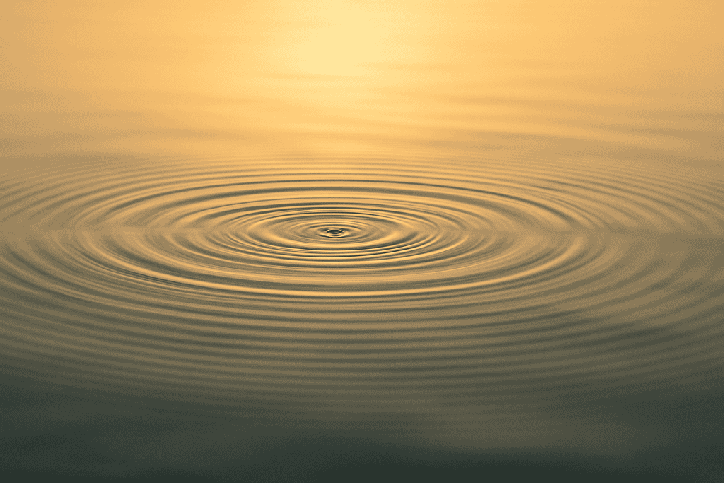 E858F1C4-B652-4063-A340-59E3B961A9F8